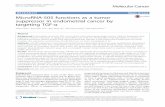 MicroRNA-505 functions as a tumor suppressor in endometrial