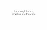 Immunoglobulins: Structure and Function - · PDF fileImmunoglobulin Structure ... Immunoglobulin Fragments: Structure/Function Relationships •Fab ... gastric and pulmonary secretions