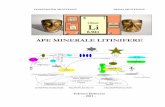 APE MINERALE LITINIFERE -   minerale litinifere.pdf · PDF fileManiaco-depresia şi semnalizarea