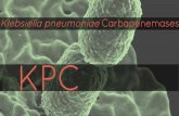 KPC (Klebsiella pneumoniae carbapenamases)