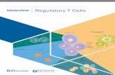 Regulatory T Cells - · PDF fileR&D Systems ® MagCellect ™ CD4+CD25+ Regulatory T Cell Selection Kits R&D Systems® MagCellect™ Cell Selection Kits are designed to isolate human
