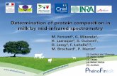 Determination of protein composition in milk by mid ... · PDF fileDetermination of protein composition in ... 0,592: 0,131. α. S1-CN 1,375. 0,217: β ... • In first place, to have