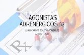 Agonistas adrenérgicos β2 accion, farmacologia, ejemplos de uso