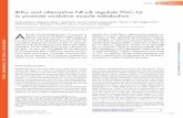 IKKα and alternative NF-κB regulate PGC-1Я to promote oxidative