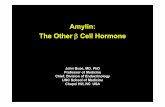 Amylin: The Other β Cell Hormone