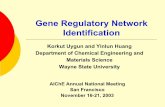 Gene Regulatory Network - Test Page for Apache yhuang/Papers/AICHE03_Gene.pdf · PDF fileGene Regulatory Network ... m = M ⋅ + E ⋅ dt d Γ Γ m e r e = M ... Optimal input profiles