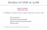 •Introduction •Exclusive processes •Semi-Inclusive ... · PDF file Studies of OAM at JLAB •Introduction •Exclusive processes •Semi-Inclusive processes •Summary Harut