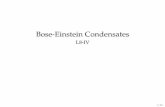 Bose-Einstein Condensates - L8-IV